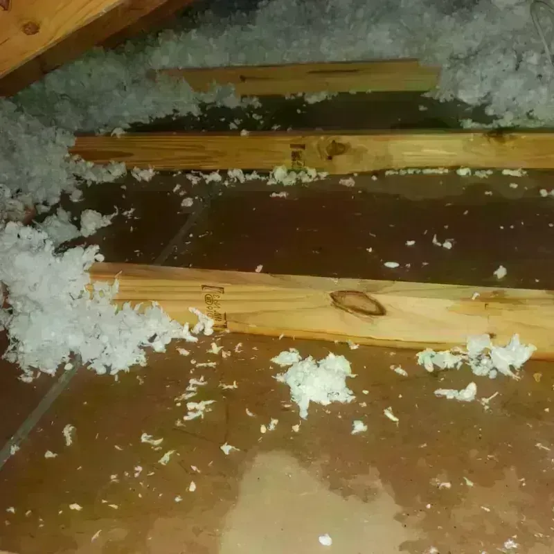 Attic Water Damage in San Jacinto County, TX