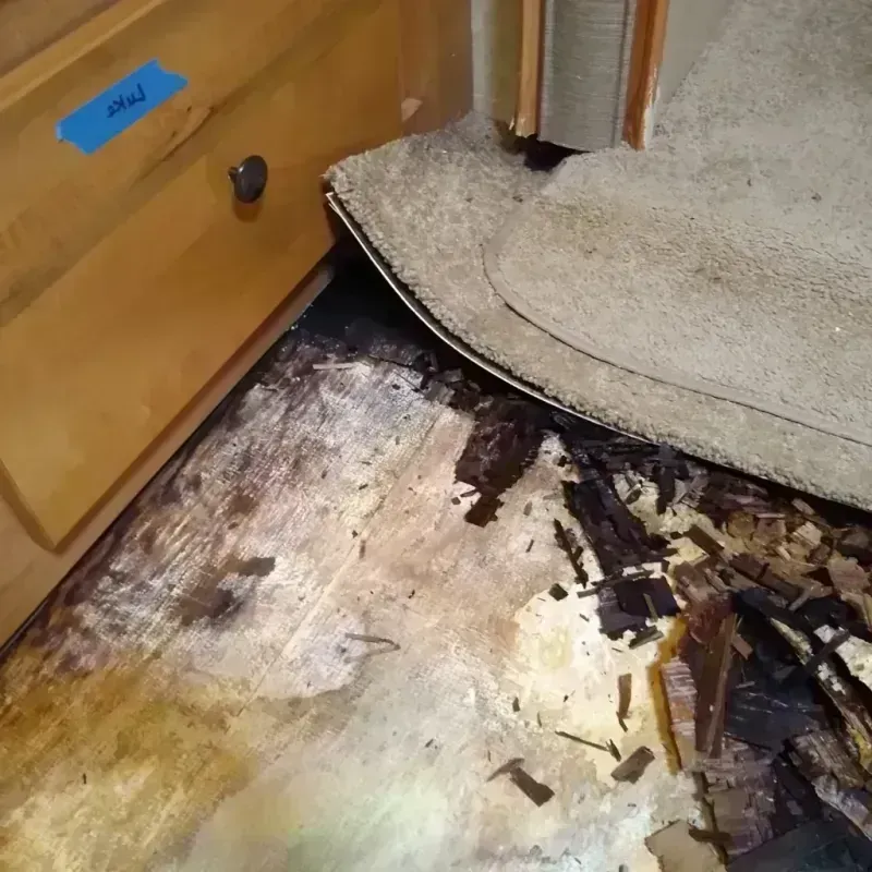 Wood Floor Water Damage in San Jacinto County, TX